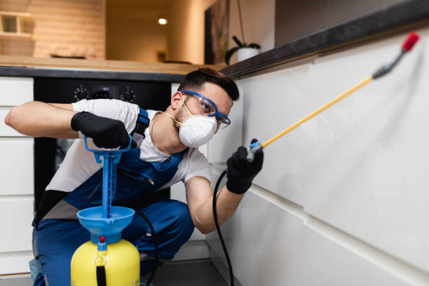 Wasp Removal Services in Leisuretowne, NJ