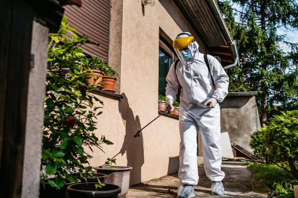 Best Residential Pest Control  in Leisuretowne, NJ
