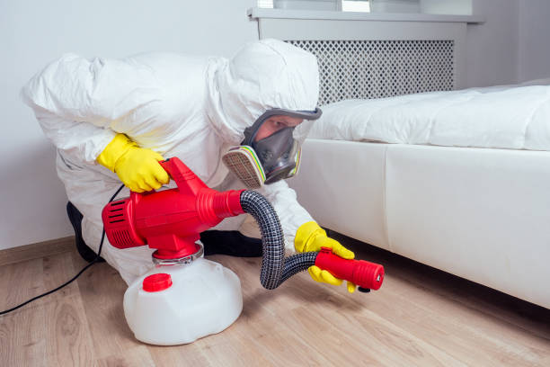 Best Insect Control  in Leisuretowne, NJ