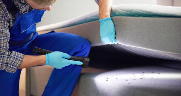 Best Flea Control Services  in Leisuretowne, NJ