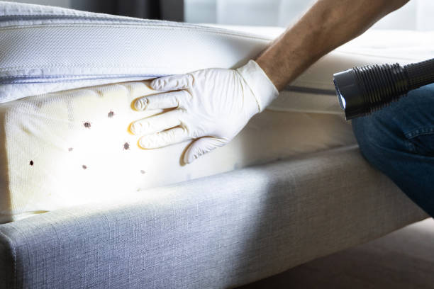 Best Pest Removal Services  in Leisuretowne, NJ