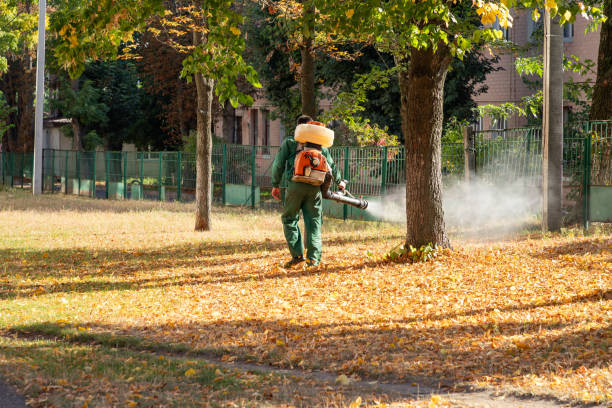 Best Pest Prevention Services  in Leisuretowne, NJ