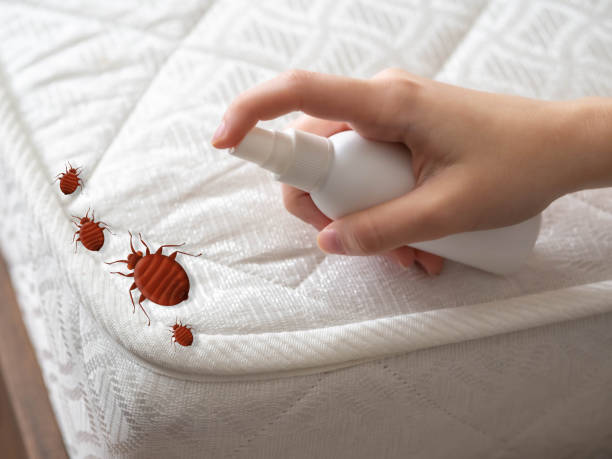 Best Pest Control Treatment  in Leisuretowne, NJ